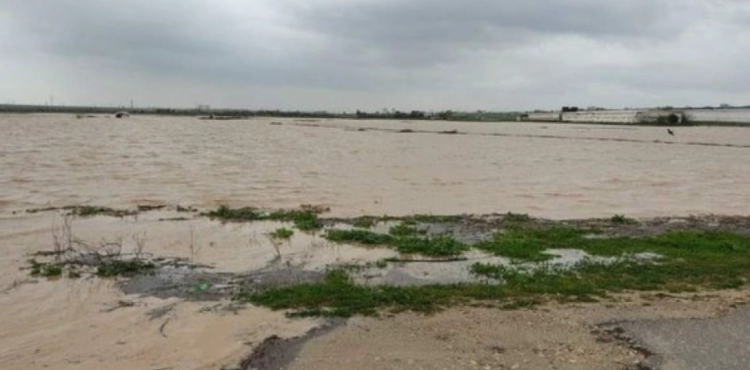 The occupation forces flooded 500 dunums of agricultural land east of Gaza City