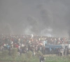 7martyrs and hundreds of injuries by occupation in Gaza